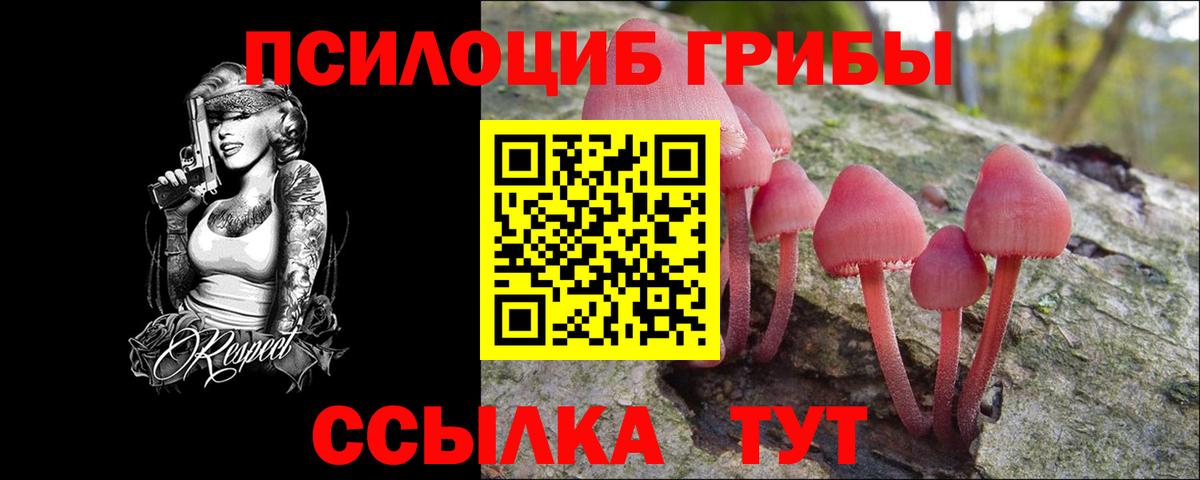 Галлюциногенные грибы Psilocybine cubensis Полевской